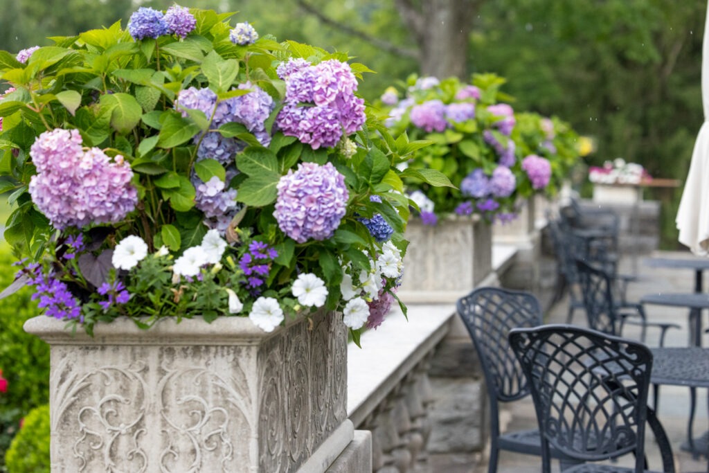 Merion Tribute House - The Terrace